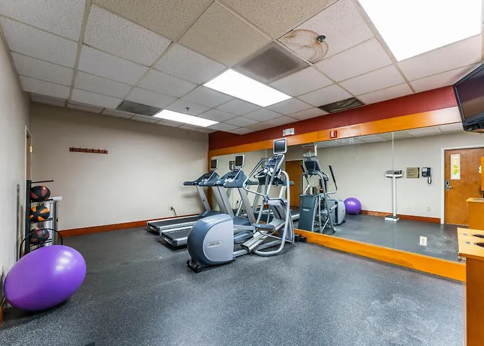 Metro Scottsdale Apartments 1 Bd 1 Ba Premium